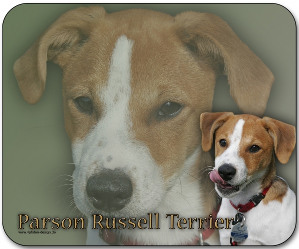 Mousepad Parson Russell Terrier